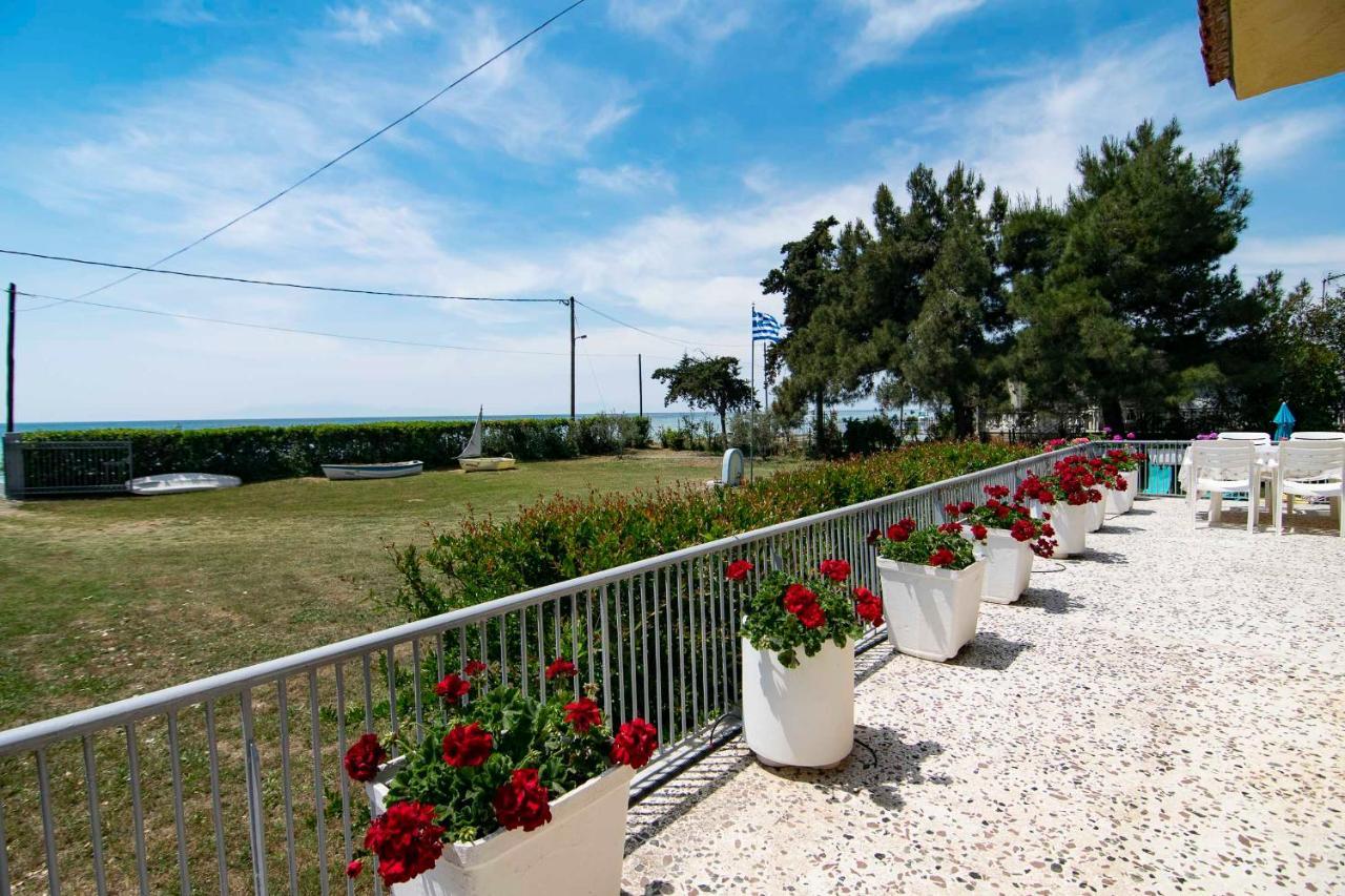 Clio Beach House By Travel Pro Services - Metochi Halkidiki Sozopoli Exteriér fotografie
