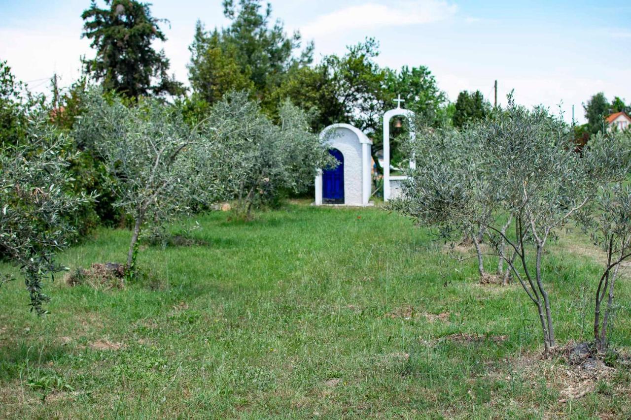 Clio Beach House By Travel Pro Services - Metochi Halkidiki Sozopoli Exteriér fotografie