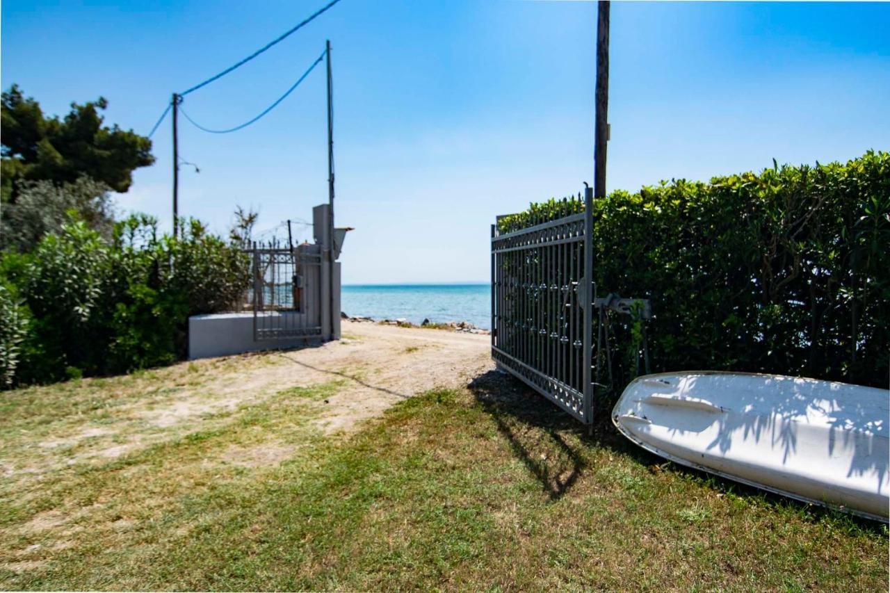 Clio Beach House By Travel Pro Services - Metochi Halkidiki Sozopoli Exteriér fotografie