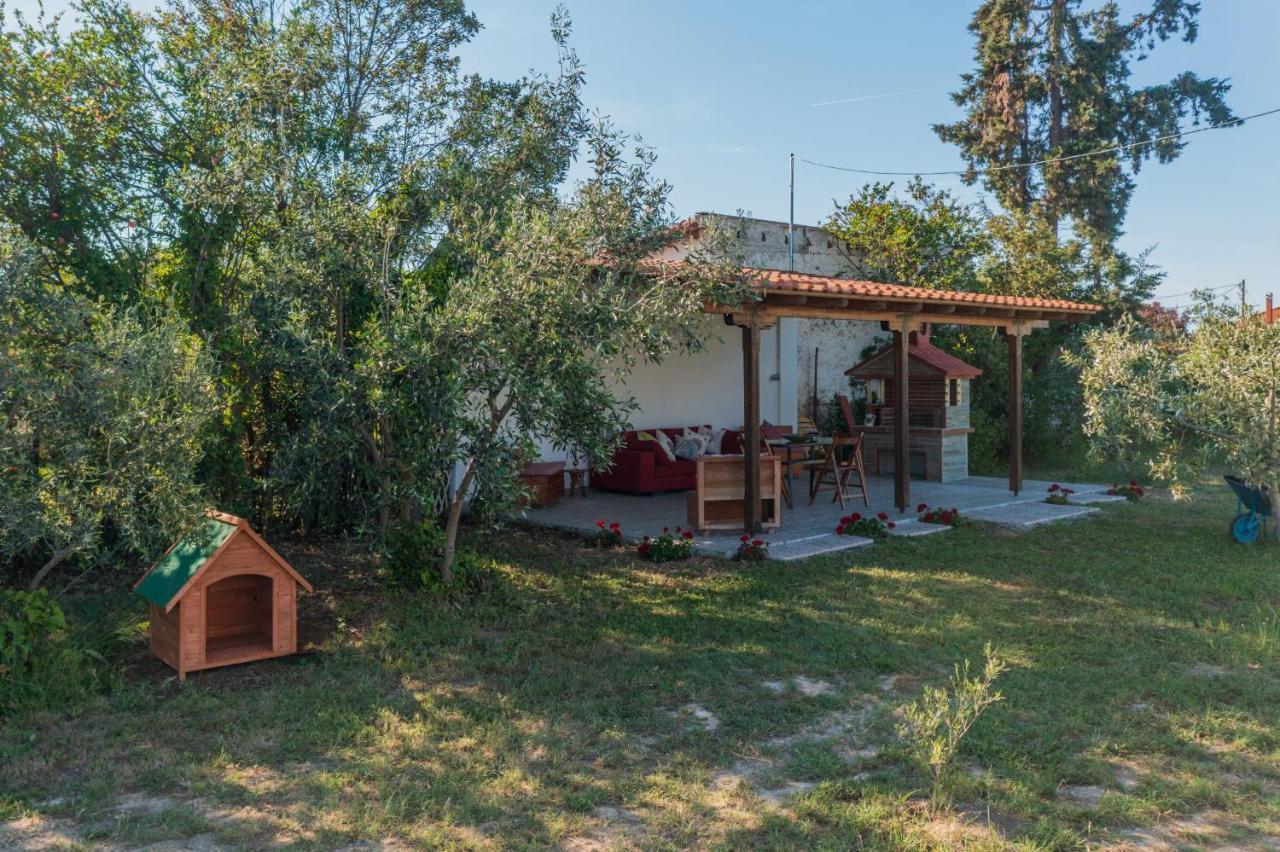 Clio Beach House By Travel Pro Services - Metochi Halkidiki Sozopoli Exteriér fotografie
